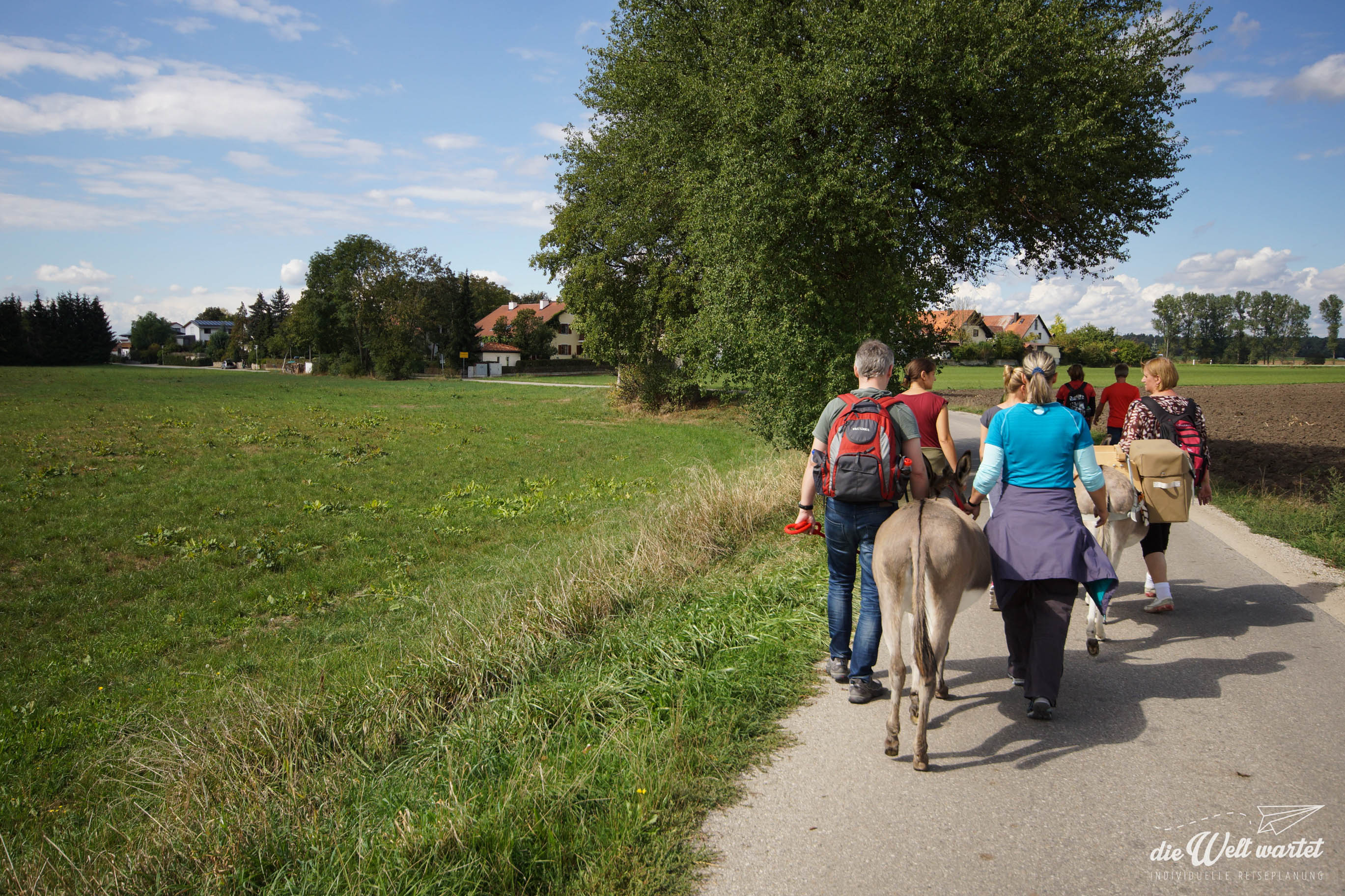 Eselwandern in der Gruppe